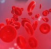 Photos des globules rouges dans la circulation sanguine
